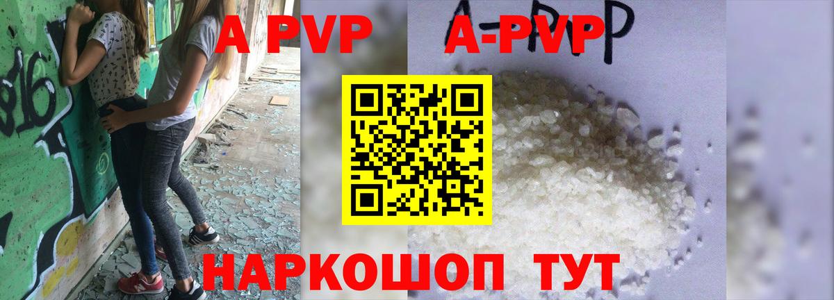Alfa_PVP СК Белгород