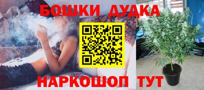 гидропоника Рузаевка